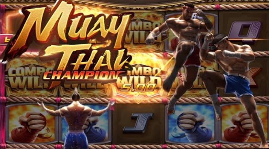 Muay Thai Champion